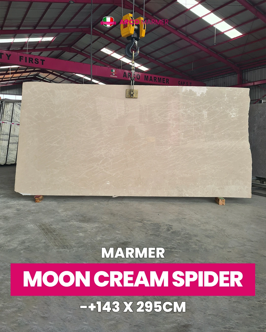 MOON-CREAM-SPIDER